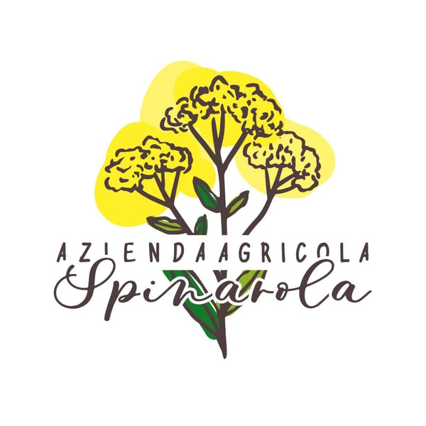 Spinarola